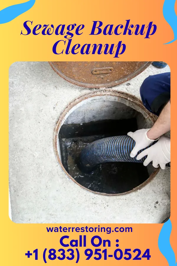 Sewage Backup Cleanup in Lapel, IN