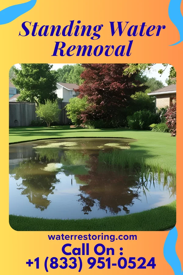 Standing Water Removal in Lapel, IN